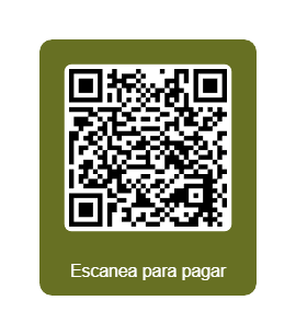 QR Flow para pagar PROSYS